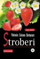 Buku Rahasia Sukses Bertanam Stroberi