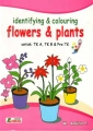 Identifying and Colouring Flower and Plants