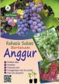 Rahasia Sukses Bertanam Anggur